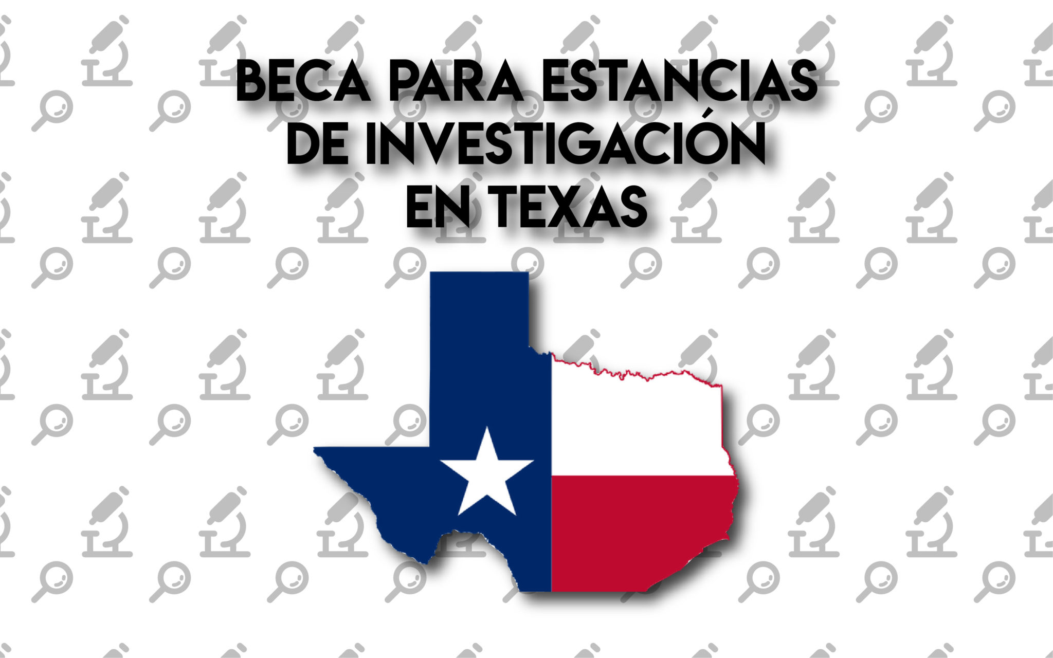 beca investigacion texas