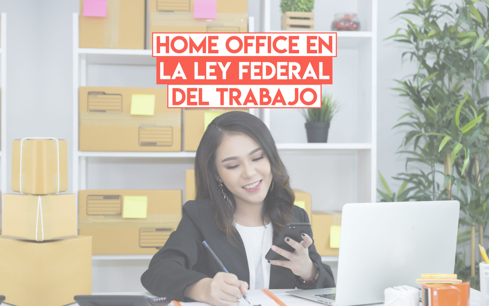 Home Office en la Ley Federal del Trabajo | Profesionistas
