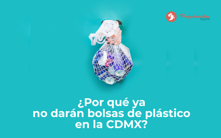 ¿Por qué ya no darán bolsas de plástico en la ciudad de México?